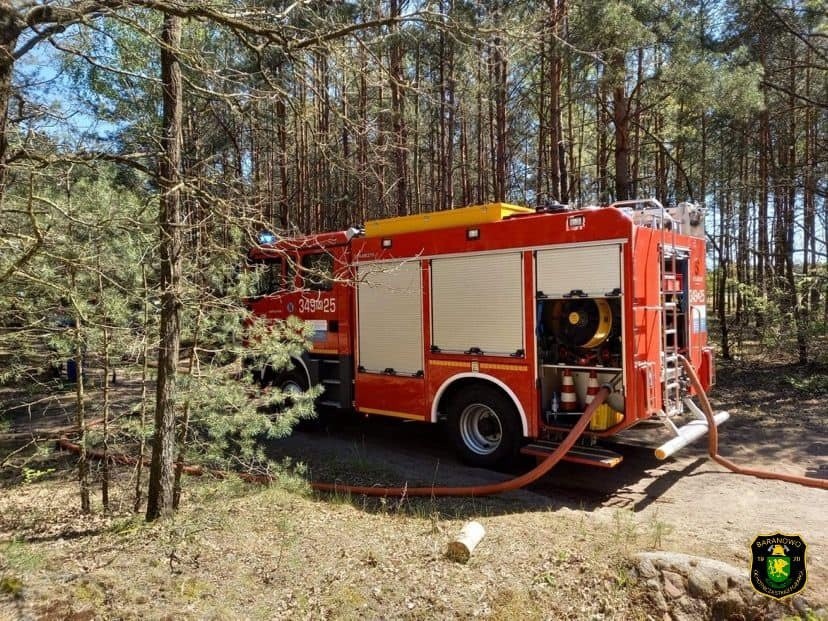 Aktualne zagrożenie pożarowe w lasach. Zobaczcie mapkę. 19.05.2022