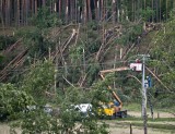 Żywioł niszczył wszystko, co stanęło na drodze [zdjęcia]