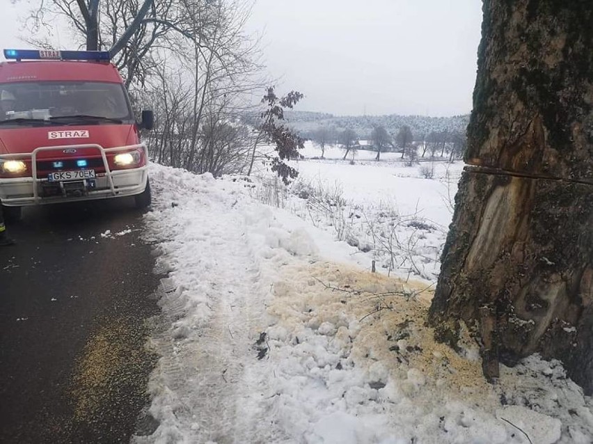 Ktoś podcina drzewa przy drogach! Tym razem w powiecie kościerskim. Strażacy: "Co wy macie w głowach?!"