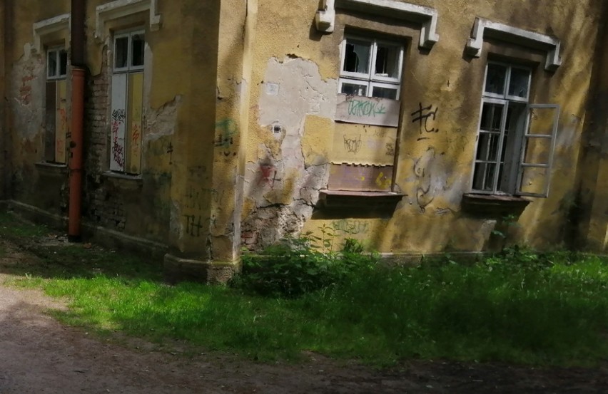 Dawna kuchnia dworska przy Zamku Tarnowskich w Dzikowie oraz pobliskie budynki zamieniają się w ruinę. ZOBACZ ZDJĘCIA
