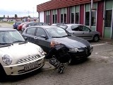Paserzy aut ze Słupska wpadli na granicy 