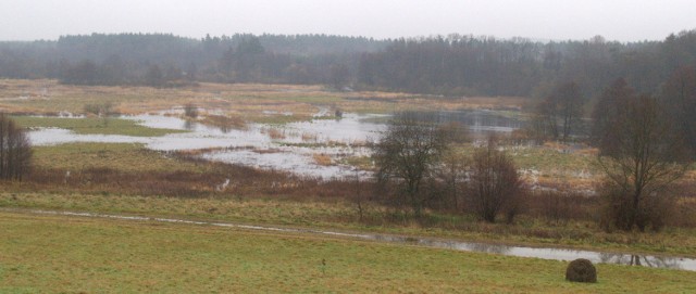 Tereny zalewowe to ponad 100 ha gruntów. Mimo, że "zwężka" jeszcze nie funkcjonuje, te ziemie już w środę było porządnie zalane.