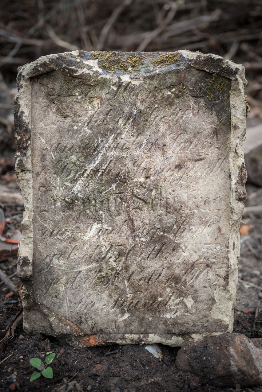 Ślady dawnego poniemieckiego cmentarza pod Tarnawą