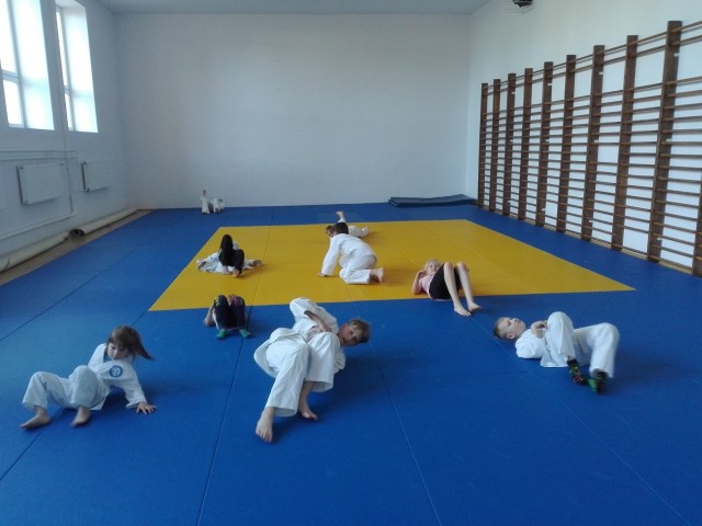 Zajęcia w ramach akcji prowadzone są w sali Akademii Judo Poznań przy ul. Starołęckiej 36