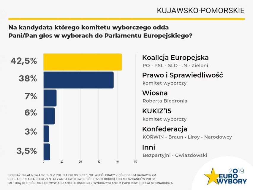 Nasz sondaż przed Wyborami Europarlamentarnymi. PiS wygrywa w kraju, Koalicja Europejska w regionie