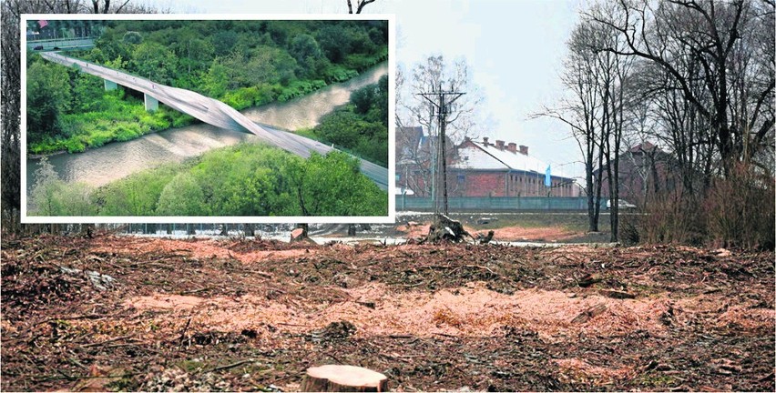 Oświęcim. Na Kamieńcu wycięto piękne drzewa. Tak powstaje Park Pojednania Narodów [ZDJĘCIA, WIZUALIZACJA]