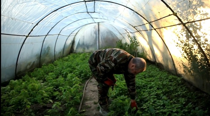 Koronawirus w Polsce. Najsłynniejszy preppers w kraju jest gotowy na epidemię koronawirusa. I nie tylko na nią [ZDJĘCIA]