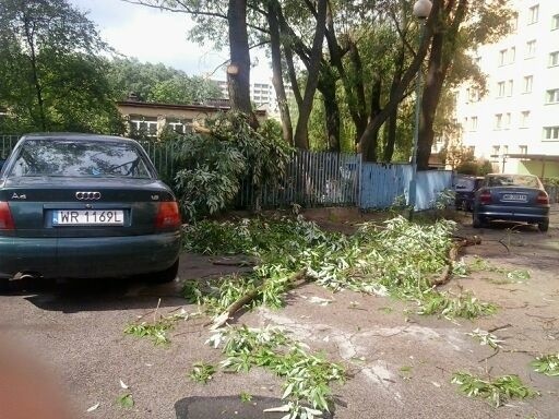 Złamane drzewo na osiedlu Ustronie w Radomiu.