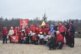 Morsowanie w Częstochowie. Ubieranie choinki ze "Zmorsowanymi" połączone ze zbiórką na schronisko zwierząt