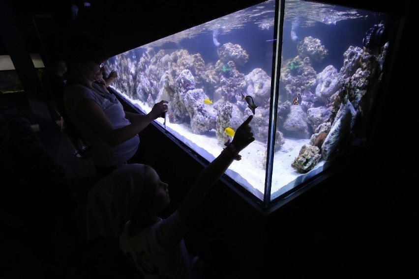 Pierwszymi gośćmi Oceaniki w sobotę byli rodzice z małymi...