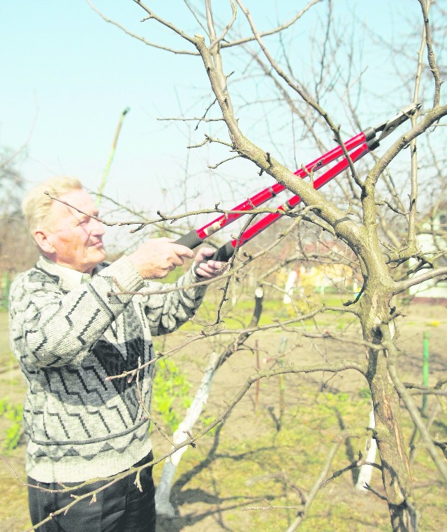 Co nam wolno wyciąć i pod jakimi warunkami we własnym ogrodzie?