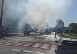 Kraków. Auto osobowe spłonęło na ulicy. Strażacy ustalają, co było przyczyną pojawienia się ognia 