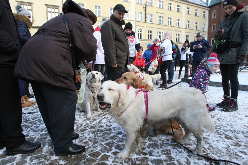 Goldeny też kwestują na WOŚP