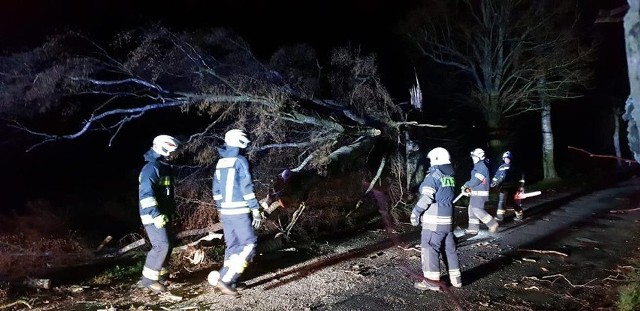 W regionie koszalińskim znowu może wiać silny wiatr