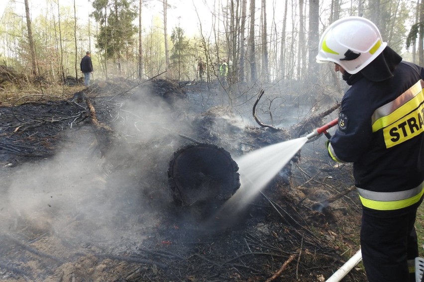 Powiat bytowski. Armagedon. W dwa dni 60 pożarów lasów. Leśnicy dziękują strażakom (zdjęcia)