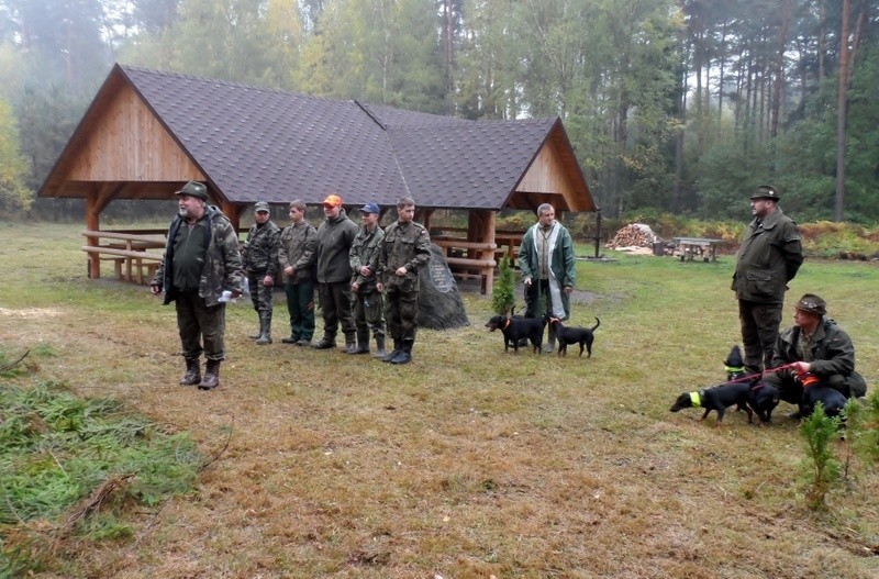 17 Dian polowało na grubą zwierzynę w Koścmidrach, w...