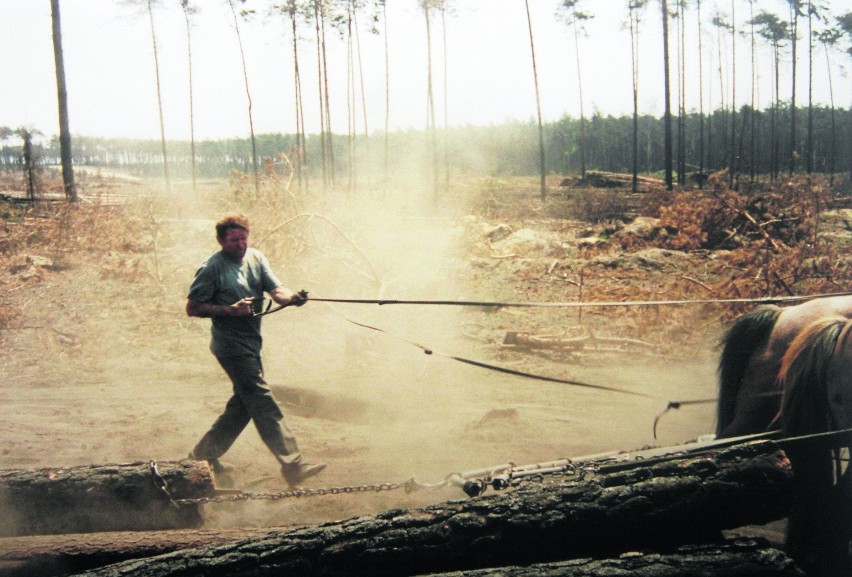 Ogień pojawił się 26 sierpnia 1992 roku ok. godziny 14. Las...