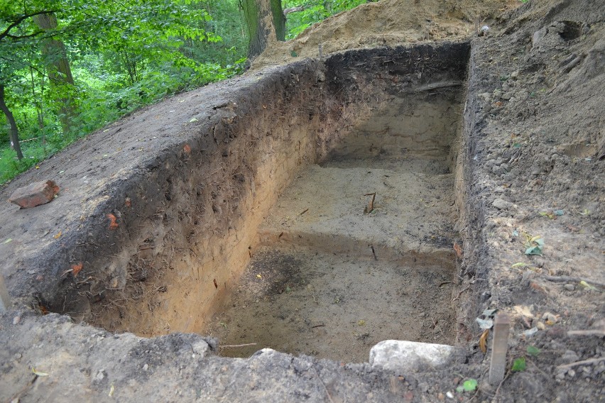 Powiat gliwicki: archeolodzy w Pniowie szukali wieży [ZDJĘCIA]