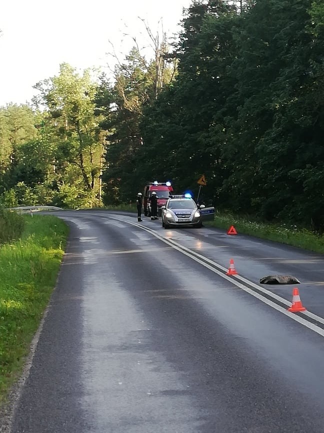 W sobotni poranek na drodze wojewódzkiej nr 163 pomiędzy...