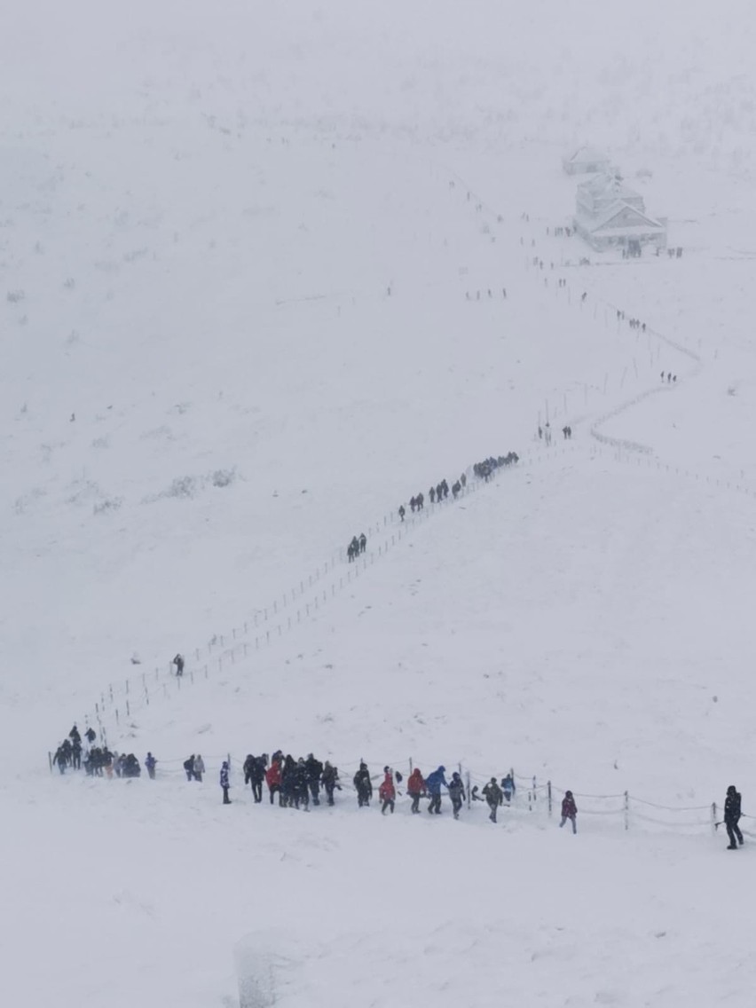 Śnieżka 5.02.2022