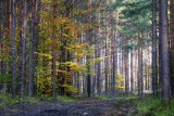 Zależności między kulturą ludzką a przyrodą. Konferencja "Kultura i natura" na targach POLECO w Poznaniu 