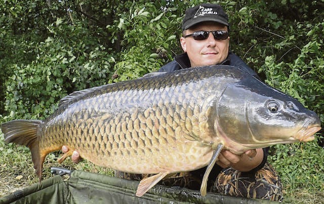 Karp pełnołuski -  ważący 15,4 kg i mierzący 96 cm -  przypieczętował zwycięstwo  Przemysława Badyniaka  podczas Jesiennego Żerowania z MAD 2015