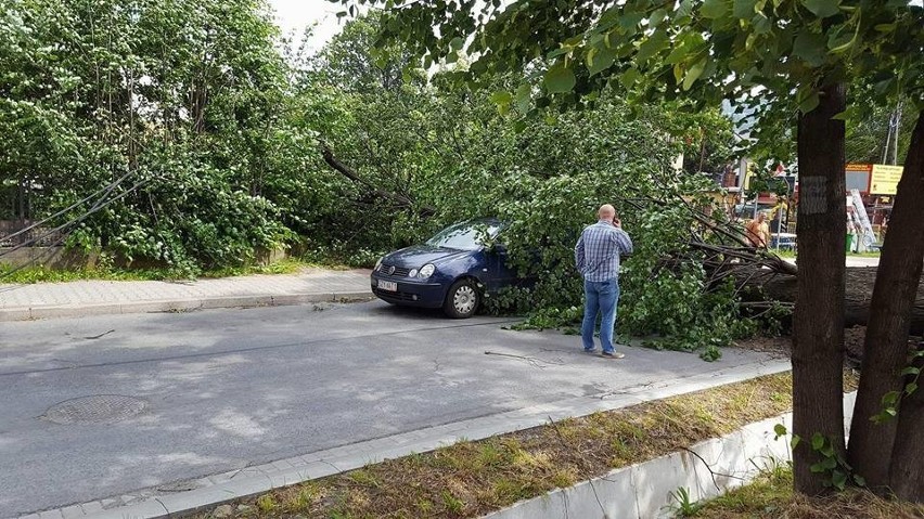 Przewrócone drzewo zniszczyło samochód w Bystrej