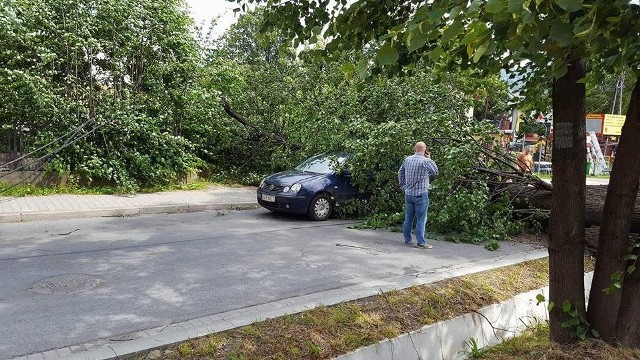 Przewrócone drzewo zniszczyło samochód w Bystrej
