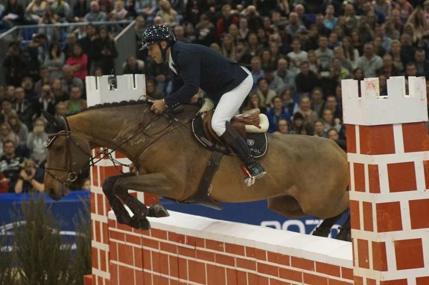 Cavaliada i potęga skoków na poznańskich targach