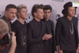 Grupa One Direction pobiła 6 rekordów Guinessa (wideo)