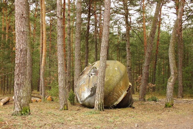 Ten przedmiot porzucony w lesie między Rudą Zajączkowską a Gnieździskami w gminie Łopuszno wzbudził duże zainteresowanie wśród internautów.