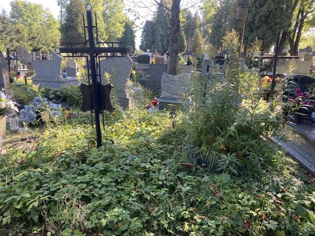 Cmentarz w Olkuszu