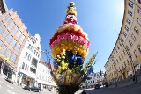 Palma wielkanocna stanęła na rynku w Żarach. To w tym roku jedyna świąteczna ozdoba w mieście