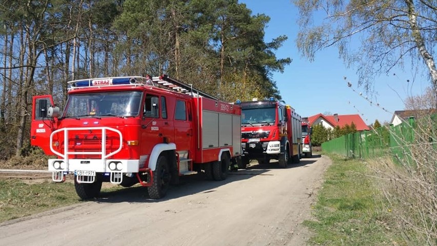 W piątek przed południem w lesie na ulicy Parkowej w...