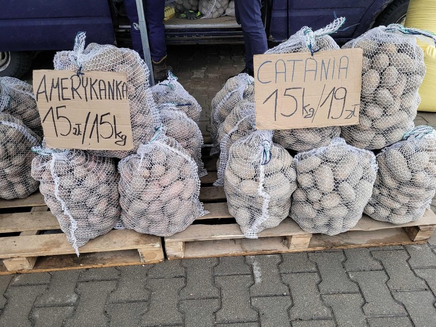 Ceny ziemniaków w workach po 15 kg są zróżnicowane. W...