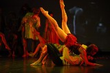 Dancing Poznań 2014: Na MTP ruszył festiwal teatru tańca [ZDJĘCIA]