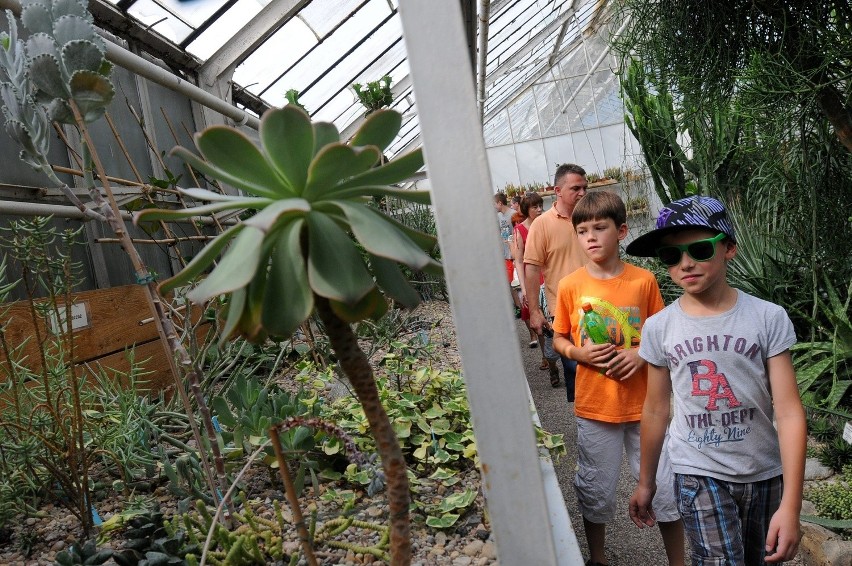 Wycieczka po Ogrodzie Botanicznym: Nawet pokrzywa może być smaczna (ZDJĘCIA)