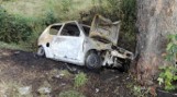 Makabryczny wypadek w Strzyżowicach NOWE ZDJĘCIA Samochód uderzył w drzewo, kierowca spłonął