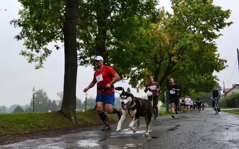 Bieg Koroną Jeziora Goczałkowickiego 2015 w Zabrzegu