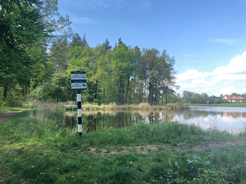 Stawy w Głogowie Małopolskim i ich okolica nabiorą uroku i wypoczynkowego klimatu. Będzie jak w latach 80-tych