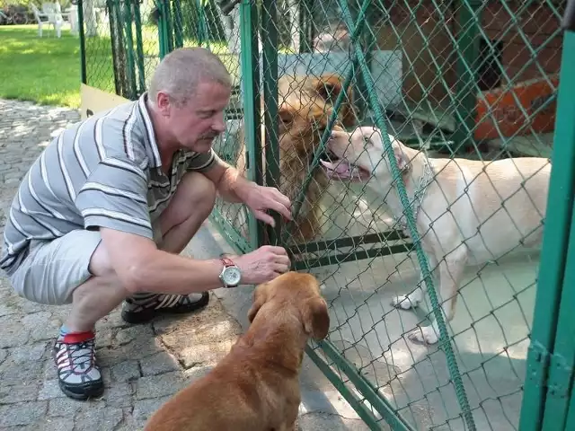 Swojego pupila można zostawić w czasie urlopu m.in. w hotelu dla psów, który prowadzi Mirosław Grabka w Słupsku. 