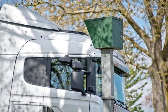 Cudzoziemcy w powiecie sępoleńskim znajdują zatrudnienie głównie w transporcie jako kierowcy samochodów dostawczych