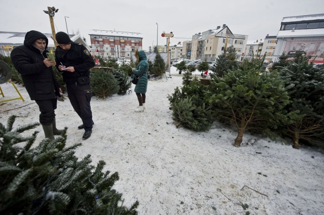 W Koszalinie jest aktualnie jest kilkanaście miejsc handlowych, w których można kupić drzewka świąteczne, ale z każdym dniem tych punktów przybywa. Kontrole będą sukcesywnie powtarzane