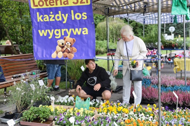 Od piątku do niedzieli (22-24 września) trwał Parkowy Kiermasz Kwiatowy. To druga w tym roku edycja wydarzenia, które od wielu lat organizowane jest w Parku Śląskim w Chorzowie.