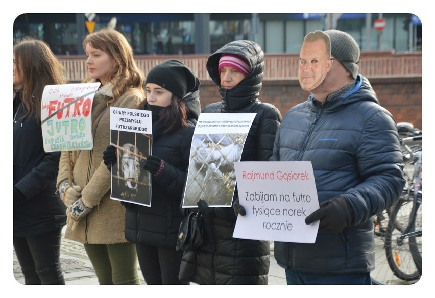 Protest przeciwko hodowli zwierząt futerkowych [ZDJĘCIA]