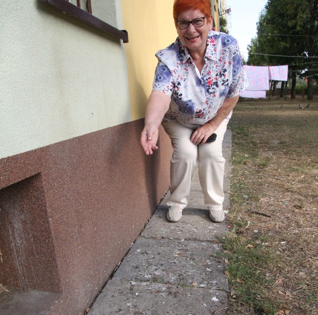- Otoczenie naszego domu usłane jest śmierdzącymi ptasimi odchodami - mówi Irena Chmielewska.