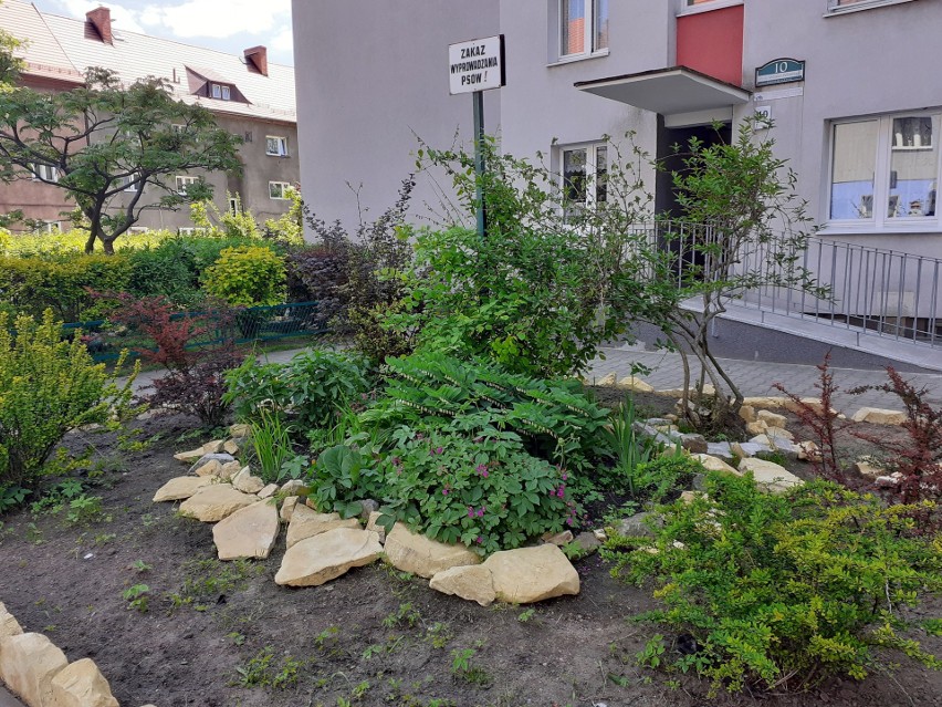 Ogródek w Bytomiu...
