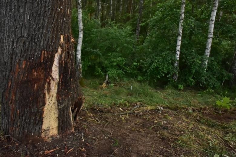 Do śmiertelnego wypadku doszło w środę, 12 czerwca, na...