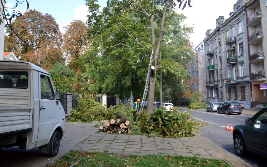 O jedno drzewo przy ul. Ogrodowej w Lublinie mniej (ZDJĘCIA)