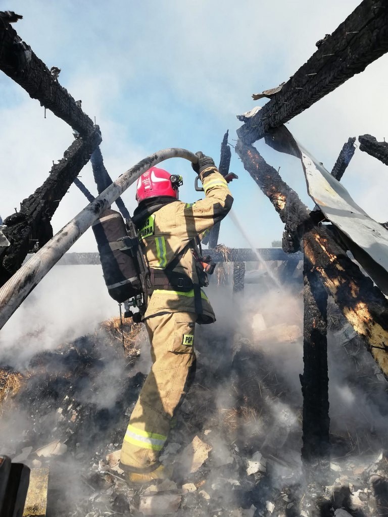 Budynek gospodarczy palił się w Woli Soleckiej Drugiej. Gasiło go pięć zastępów strażaków. Zobacz zdjęcia